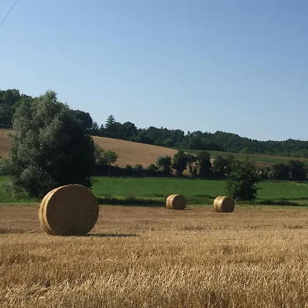 L'evea Romantique & Sauna *